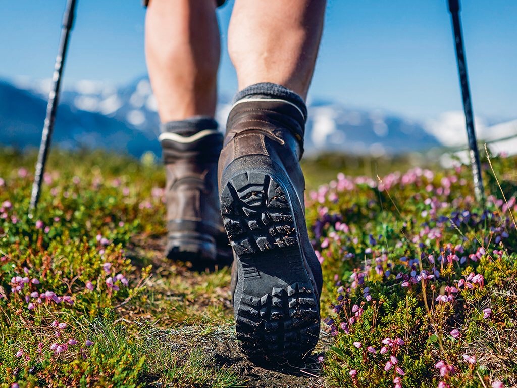 close-up of hiking boots and pink flowers along hiking trail